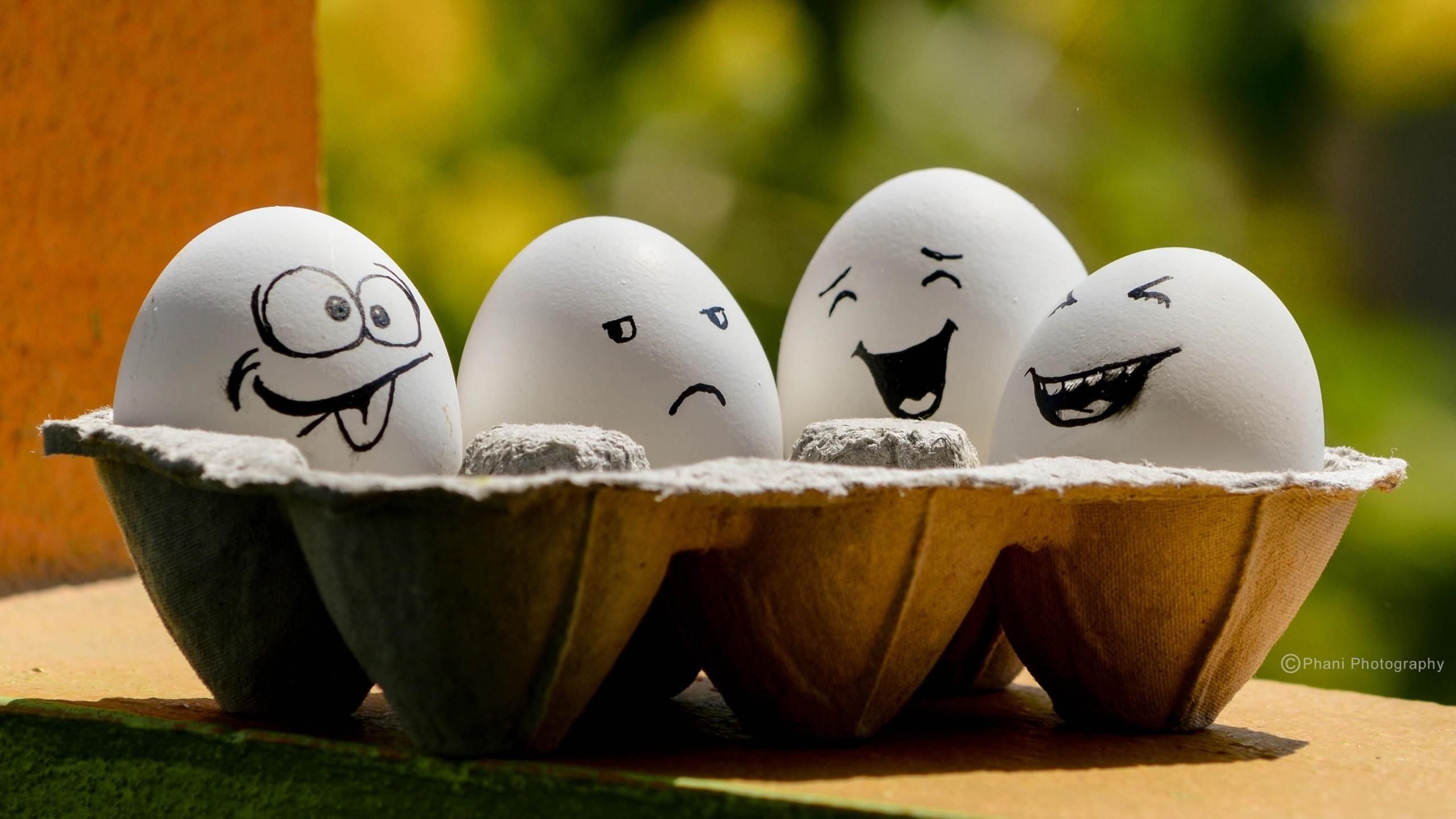 funny_eggs_gray_tray_face_expression_drawing_hd_funny_background-2560x1440.jpg