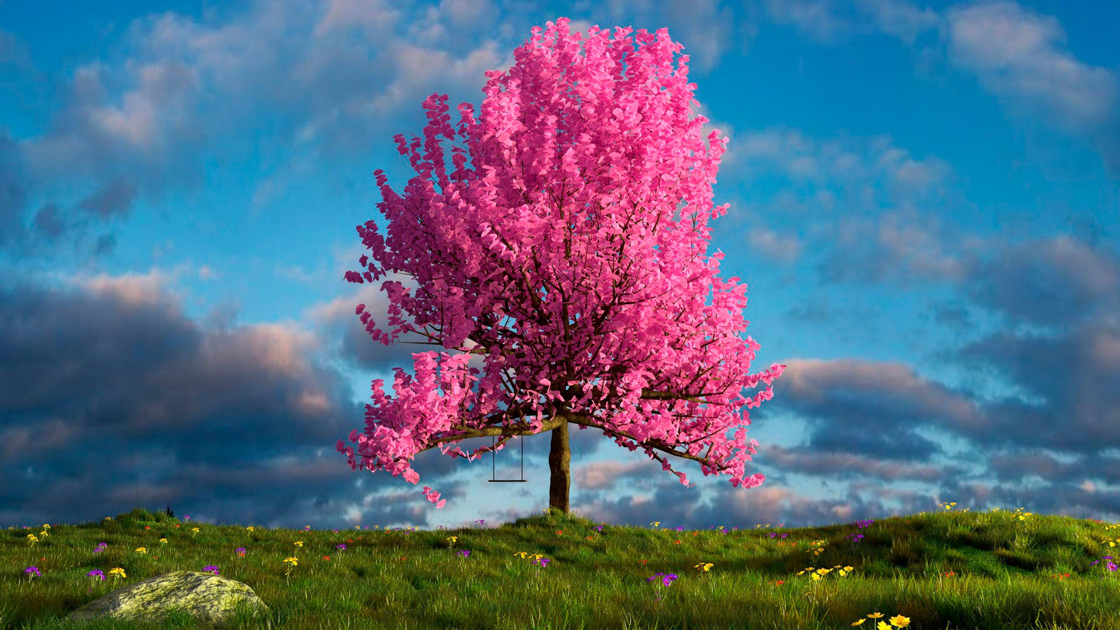 pink-tree----wallpaper-20210305-071359.jpg